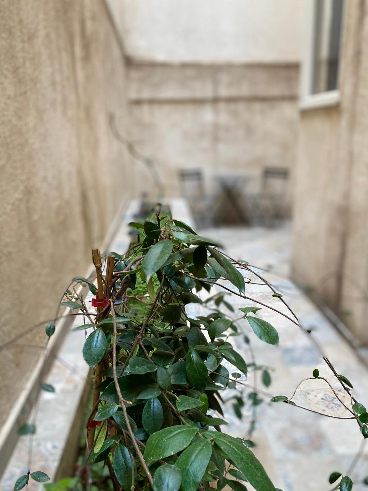 Appartamento A Place 4 U Under Acropolis Atene Esterno foto